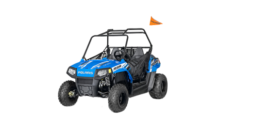 2015 폴라리스 RZR 170 대표 이미지