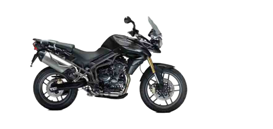 2013 트라이엄프 TIGER 800 대표 이미지