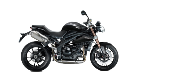 2013 트라이엄프 SPEED TRIPLE 대표 이미지