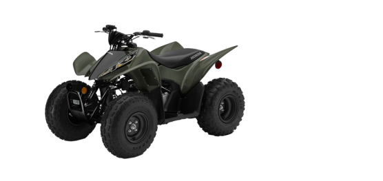 2020 혼다 TRX90X 대표 이미지