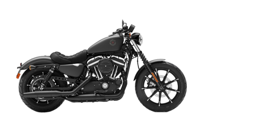 2020 harley davidson sportster 883 top