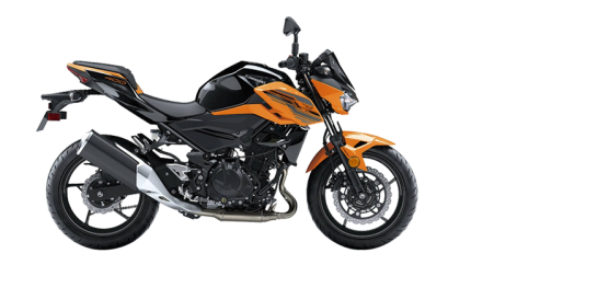 2020 가와사키 Z400 대표 이미지